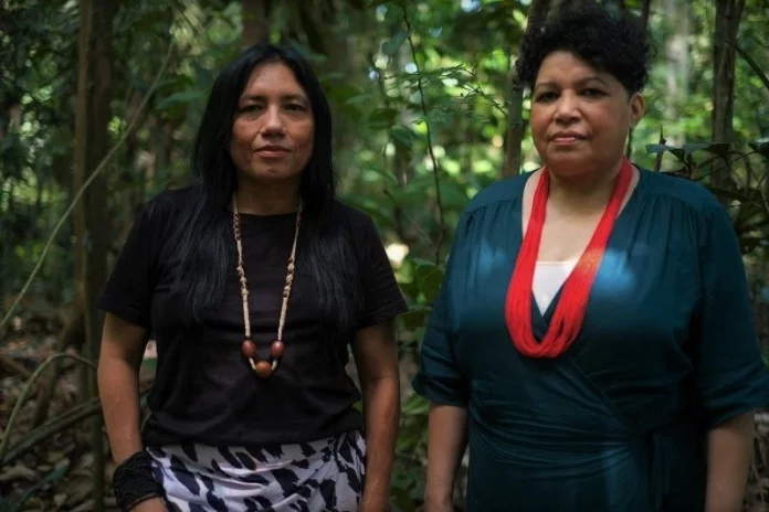 Amazônia Real é finalista do Prêmio de Liberdade de Imprensa da RSF