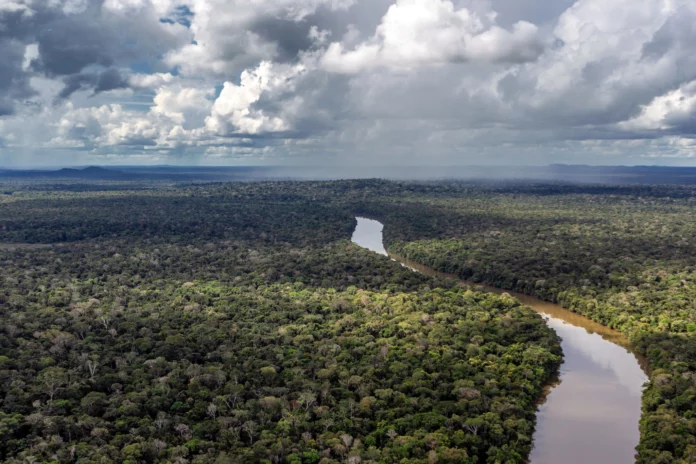 Transparência Internacional – Brasil e Abraji levarão jornalistas da Amazônia para Congresso de Jornalismo Investigativo