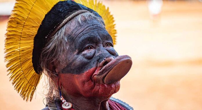 Para marcar o Dia Mundial do Meio Ambiente, celebrado em 5/6, a Associação Brasileira de Imprensa (ABI) entrevistou Ropni Metyktire.
