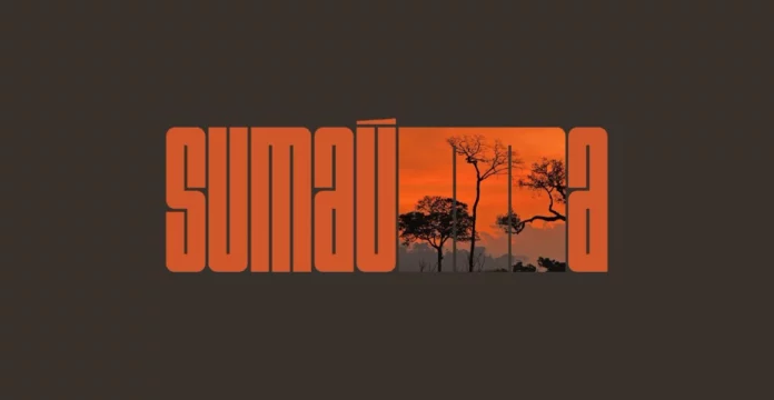 Eliane Brum lançará em setembro veículo trilíngue Sumaúma sobre a Amazônia