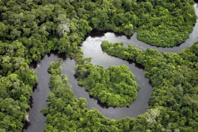 Fala lança incubadora para organizações de comunicação na Amazônia
