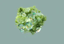 Especial do MediaTalks analisa Comunicação, ESG e Inteligência Artificial Especial do MediaTalks analisa Comunicação, ESG e Inteligência Artificial