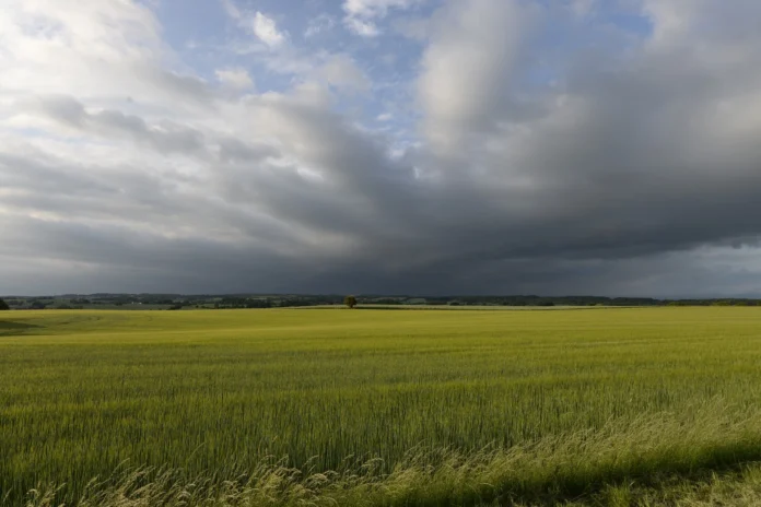 Conheça os projetos das bolsas de reportagem sobre justiça climática