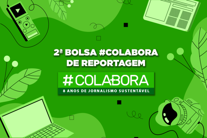 #Colabora lança bolsa de reportagem em comemoração a seus 8 anos