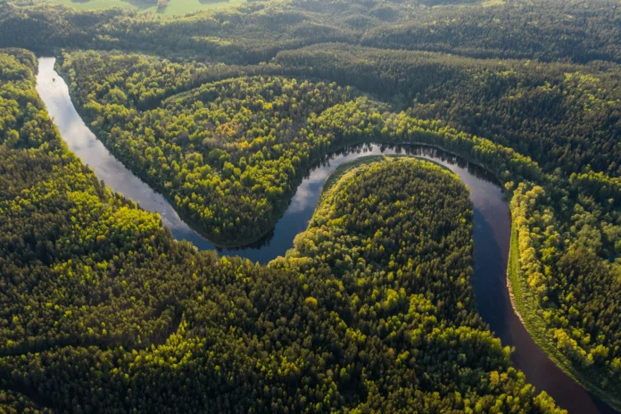 Abraji e CIJ selecionam três reportagens sobre mudanças climáticas para receber financiamento
