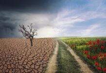 Parceria entre Ajor e SJN vai impulsionar jornalismo de soluções na cobertura climática