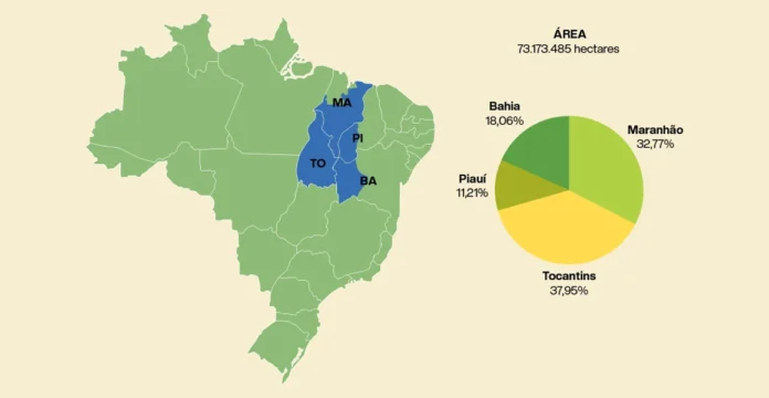 Eco Nordeste lança projeto focado em conteúdos de Maranhão, Tocantins, Piauí e Bahia