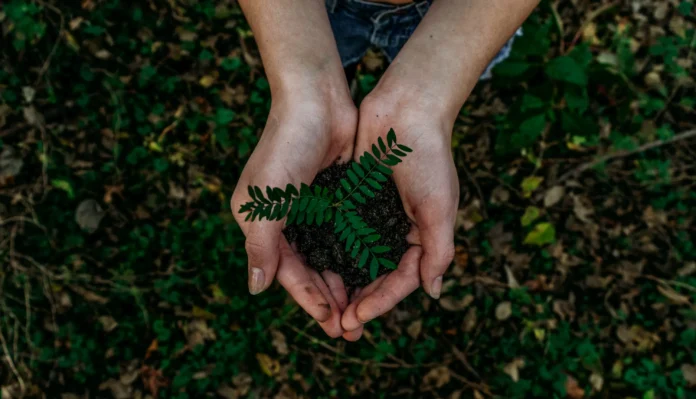 Neo Mondo e green4T firmam parceria e lançam podcast sobre sustentabilidade e tecnologia
