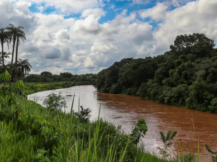 Pesquisa revela que a sociedade avalia como positiva a cobertura de imprensa da tragédia de Brumadinho