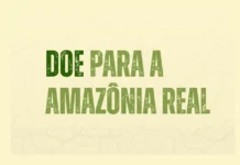Amazônia Real lança campanha de financiamento para seguir em atividade Amazônia Real lança campanha de financiamento para seguir em atividade