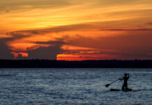 Ranking 2024: Recompensa amazônica