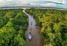 Governo Federal lança consulta pública sobre sustentabilidade do jornalismo ambiental e na Amazônia Governo Federal lança consulta pública sobre sustentabilidade do jornalismo ambiental e na Amazônia