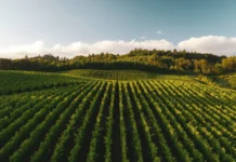Repórter de O Joio e O Trigo é hostilizado por deputados federais durante feira agrícola no RS Repórter de O Joio e O Trigo é hostilizado por deputados federais durante feira agrícola no RS