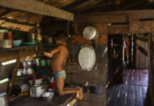 Marajó profundo, de Vinicius Sassine e Lalo de Almeida, vence o Prêmio Roche