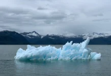 Novo prêmio internacional de fotografia científica abre inscrições Novo prêmio internacional de fotografia científica abre inscrições