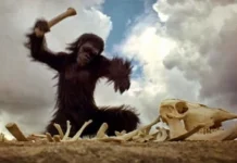 Preciosidades do acervo Assis Ângelo: O cego na História (41)