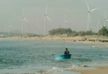 A humanização do clima: treinamento da rede CCNow ensina a conectar a ciência à vida das pessoas