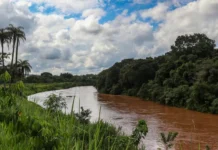 Lições de Brumadinho para comunicação em emergências